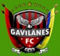 /album/fotogaleria-escudos/a33-gavilanes-fc-jpg/